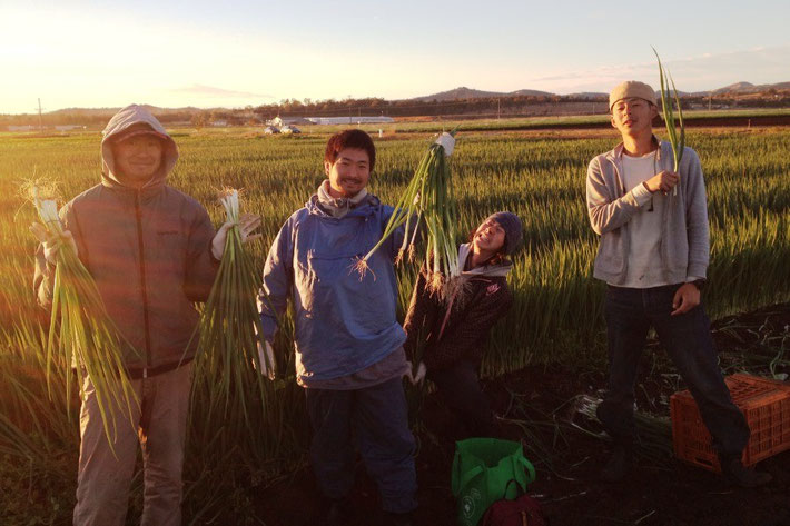 ガトンでの農場の仕事 ガトンでの農場の仕事