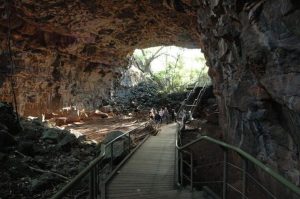 Undara Lava Tube - アンダラ火山国立公園ガルフサバンナのあるアンダラに19万年前に火山が噴火して出来た世界最大級の溶岩トンネル