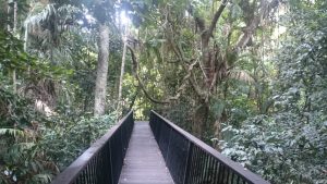 バロン滝に向かう遊歩道