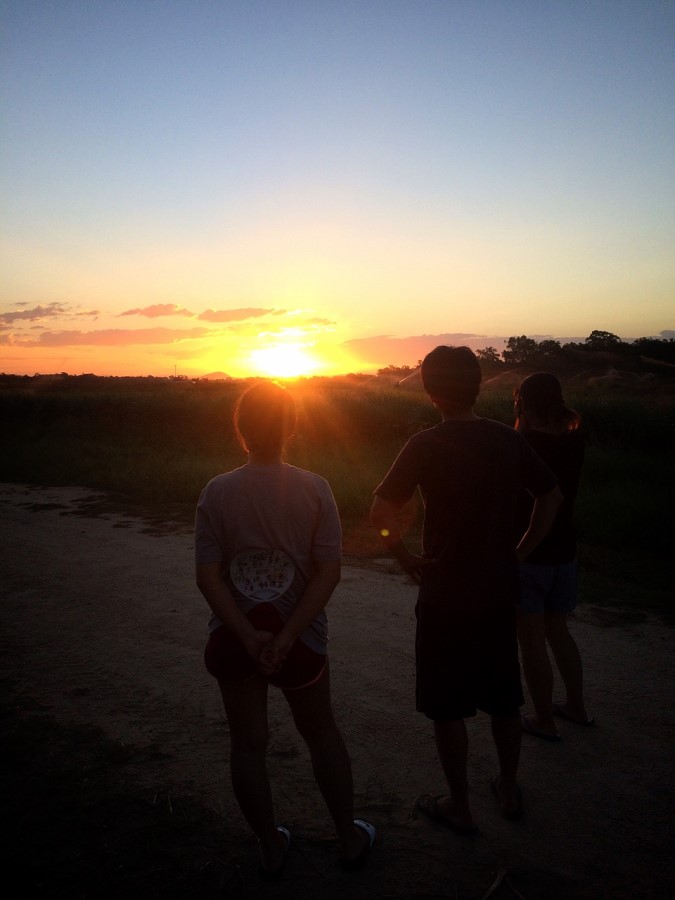 Mareeba Farm Job (9) ケアンズ郊外マリーバのハーブファームでの仕事