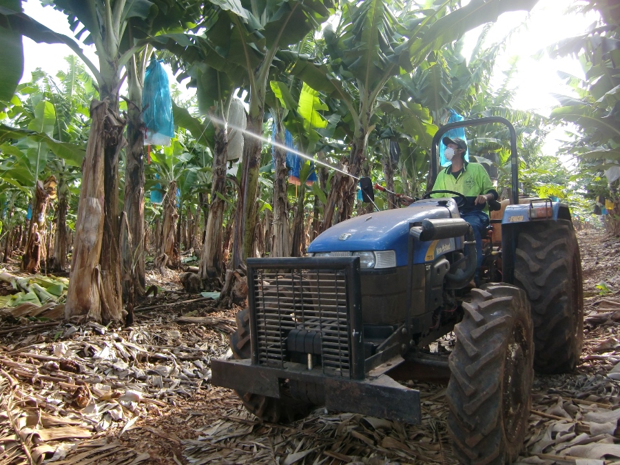 スイスファームの仕事 スイスファームの仕事