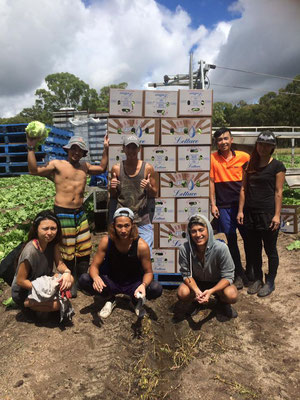 Rugby Farm 1 ラグビーファームの仲間