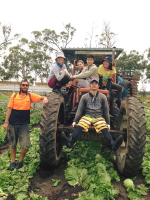 Rugby Farm 2 ラグビーファームの仲間