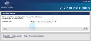 vevo-入力画面-1