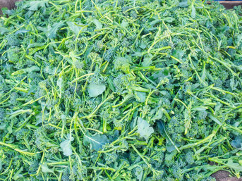 ブロッコリーニ ブロッコリーニ