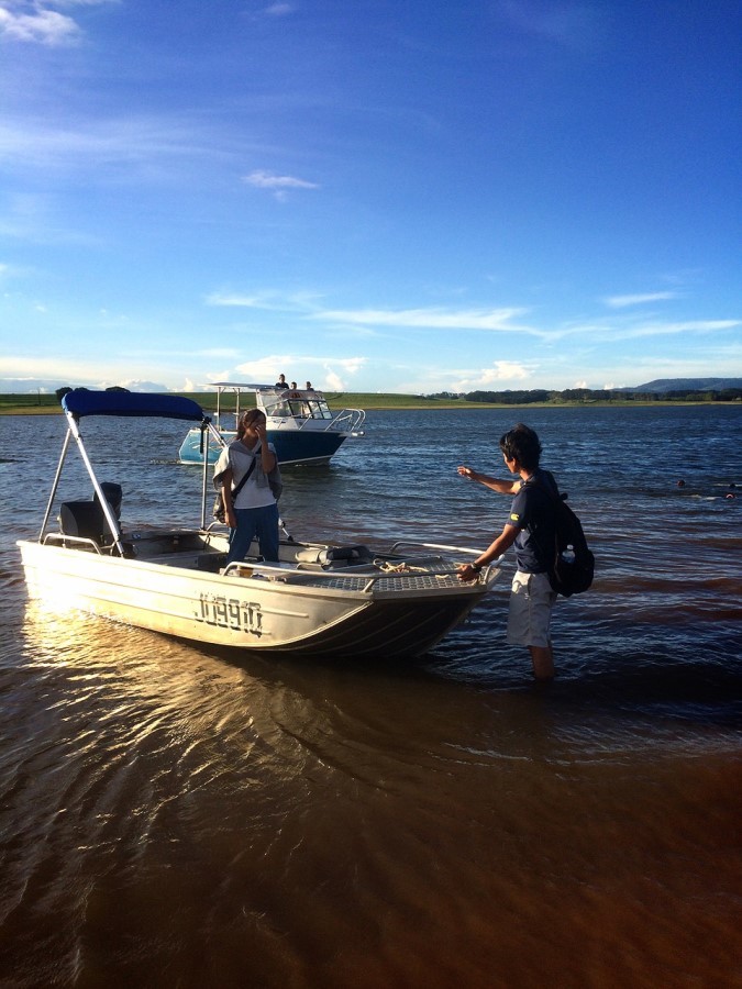 mareeba-farm10 ケアンズ郊外マリーバのハーブファームでの仕事