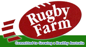 rugby-farm 大手スーパーに野菜を育てているRugby Farm