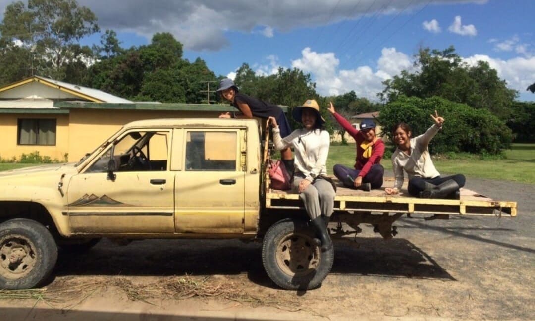 ファームの仕事