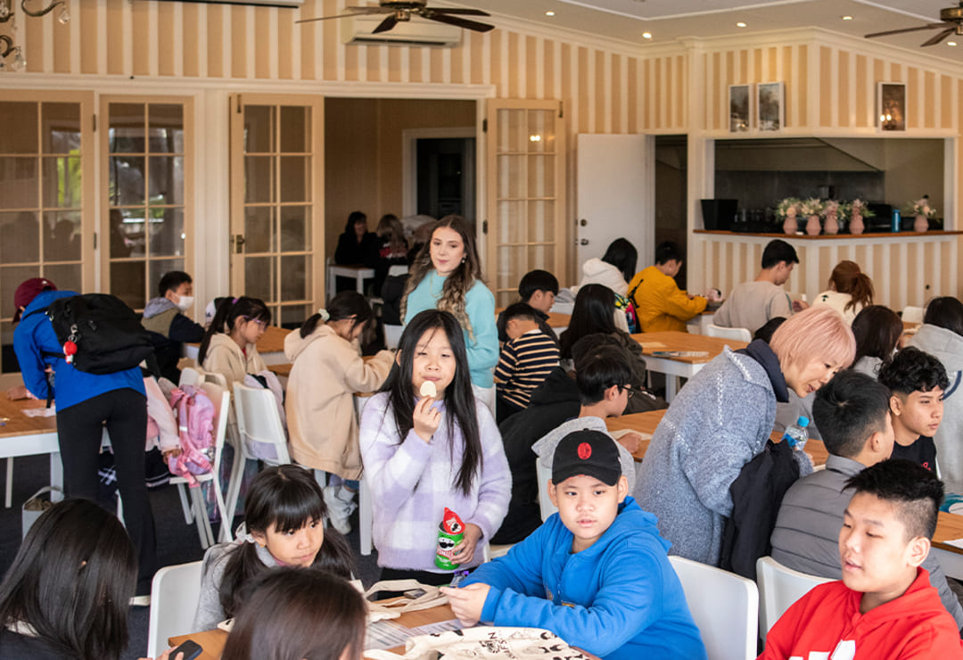shafston-college-brisbane-campus-jr program シャフストン ブリスベン ジュニアプログラム